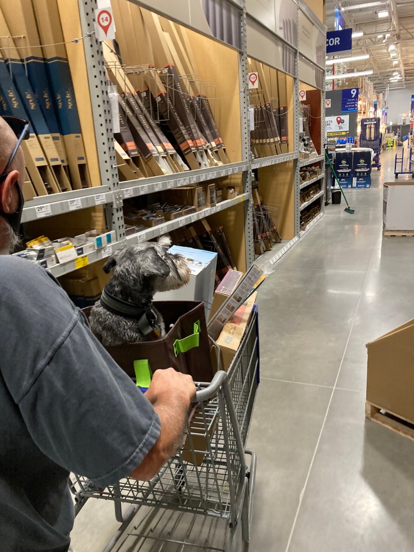 2020-07-19_16-22-13_313