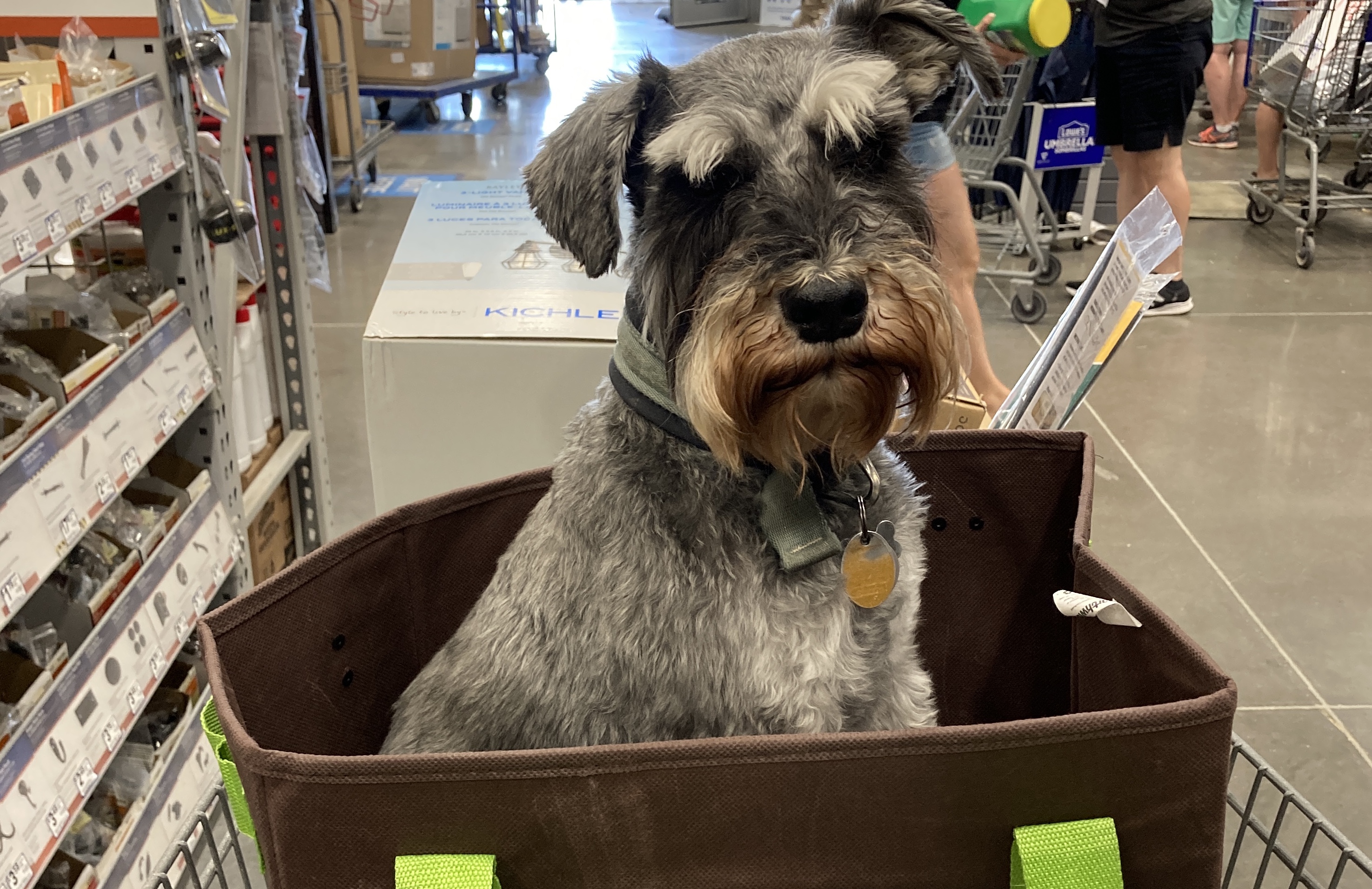 2020-07-19_16-24-29_448