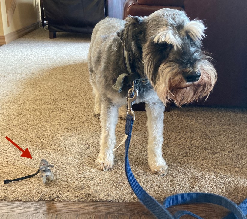 2020-07-23_15-10-37_835