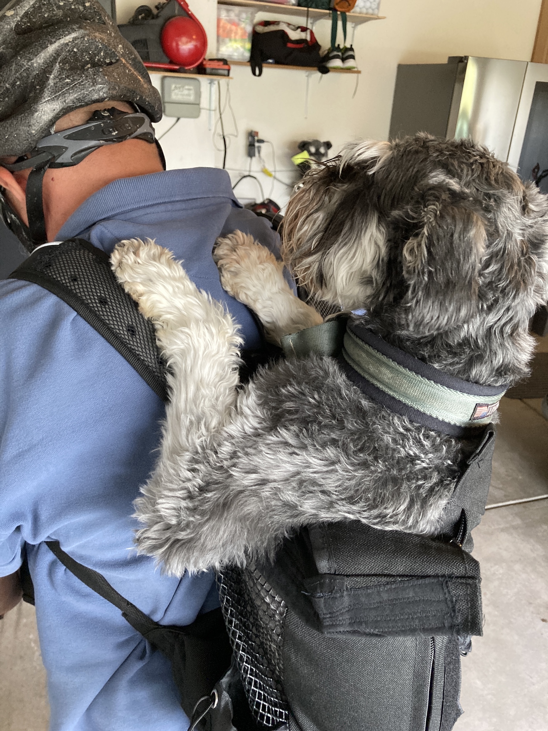 2020-08-01_18-59-43_019