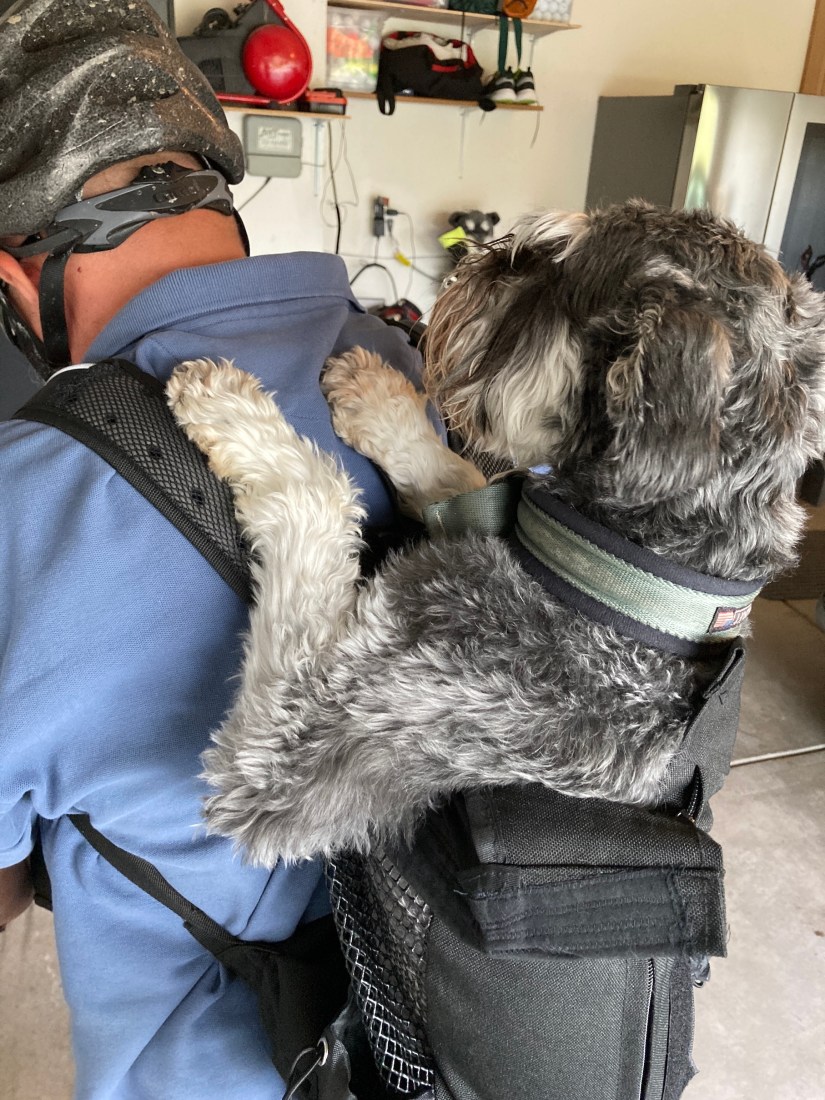 2020-08-01_18-59-43_019