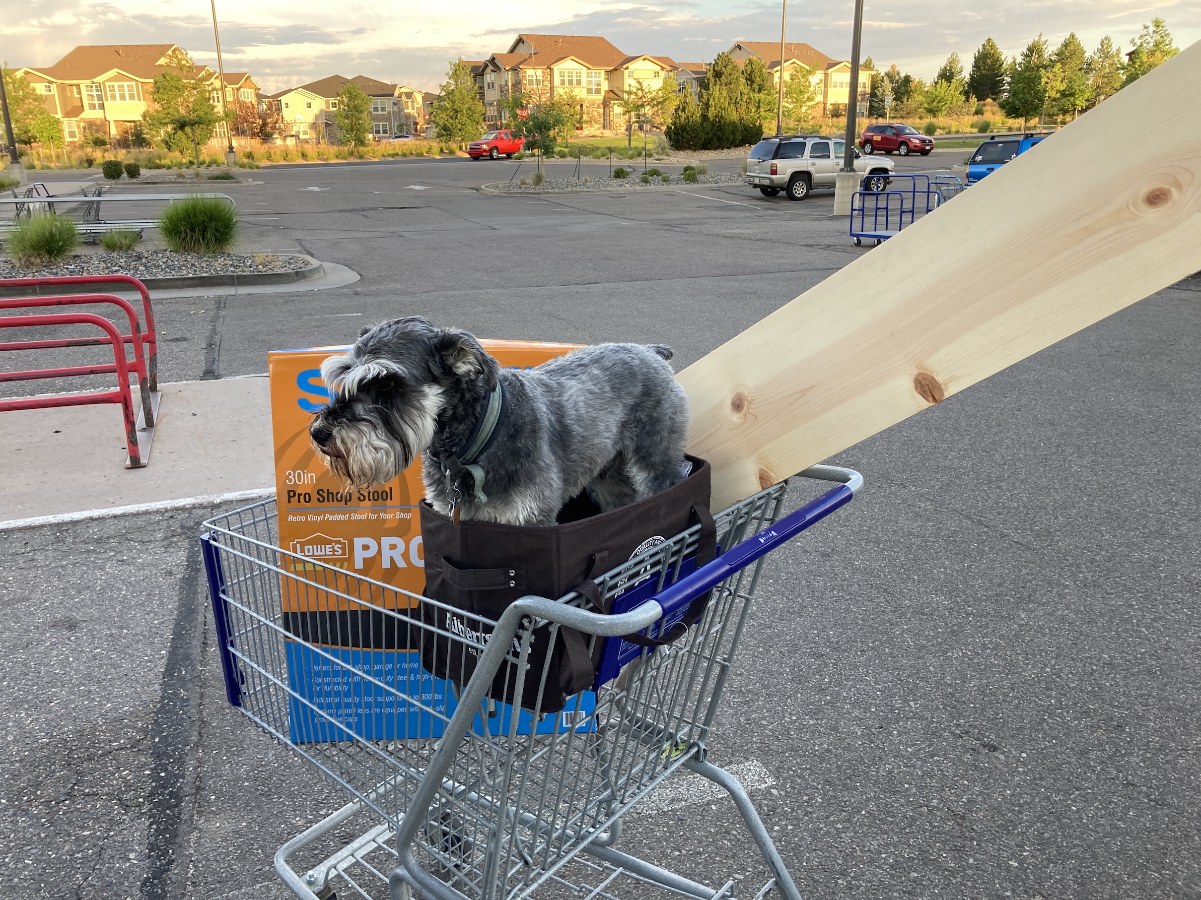 2020-08-06_19-33-05_305