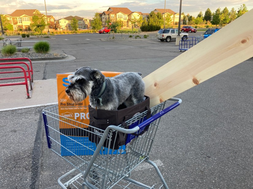 2020-08-06_19-33-05_305