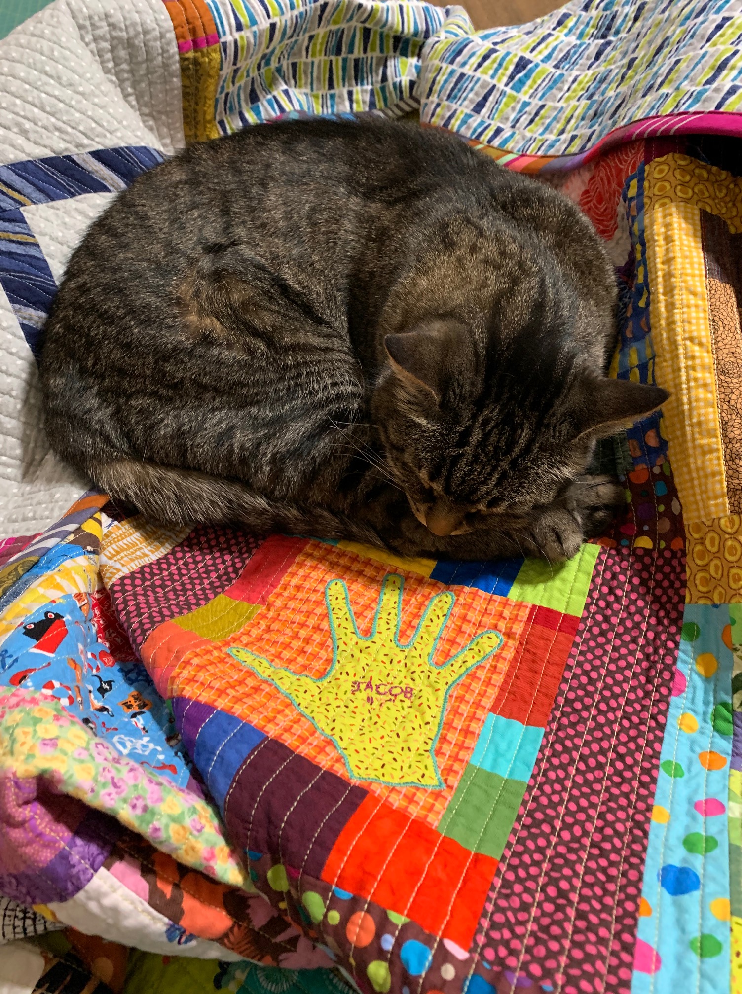 #4- Izzy on quilt