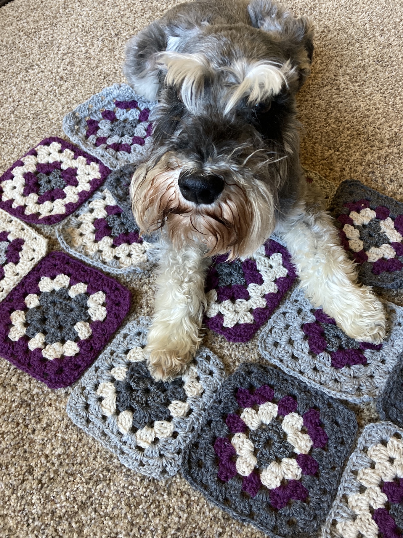 2020-09-04_12-50-53_047