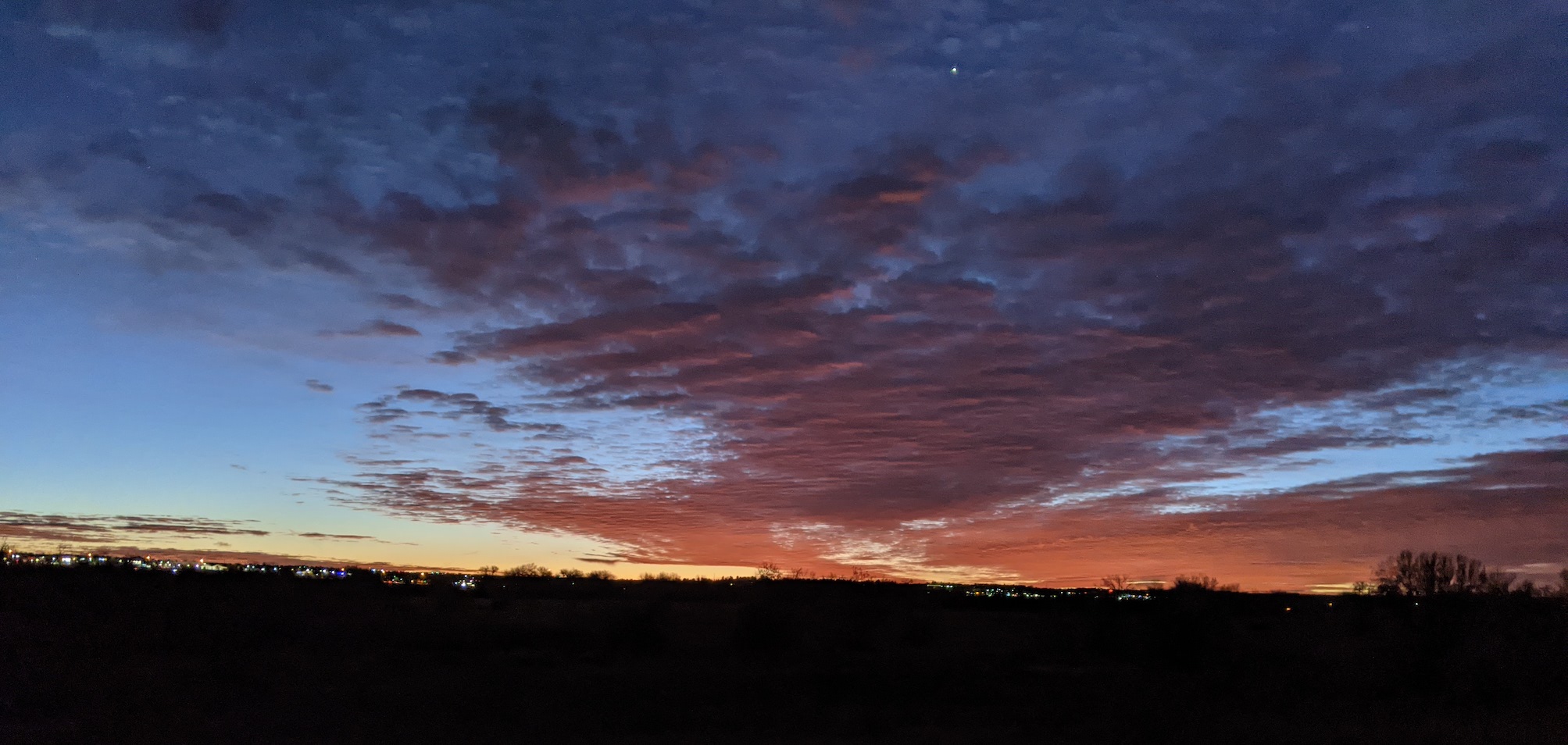 PXL_20201103_124649696