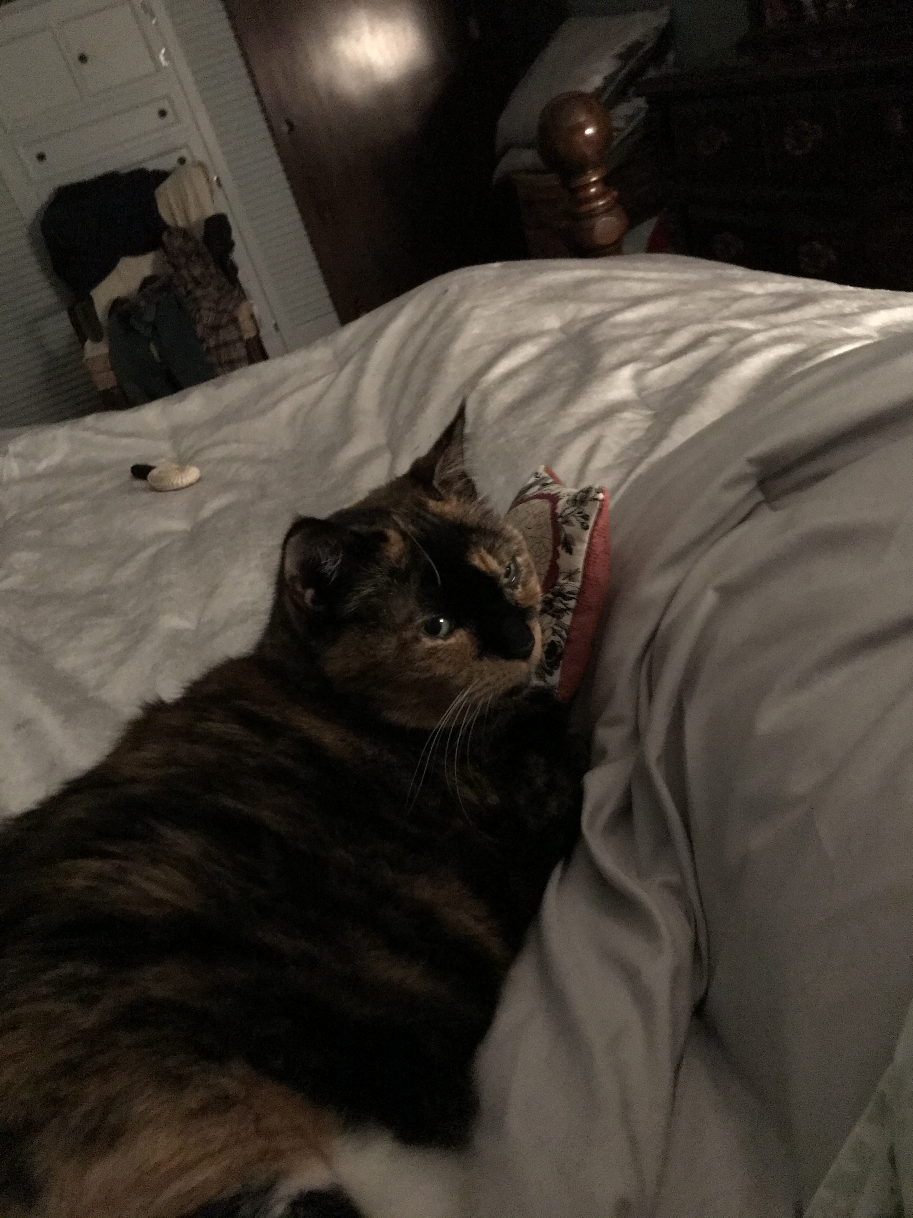 2020-11-18_23-31-53_945