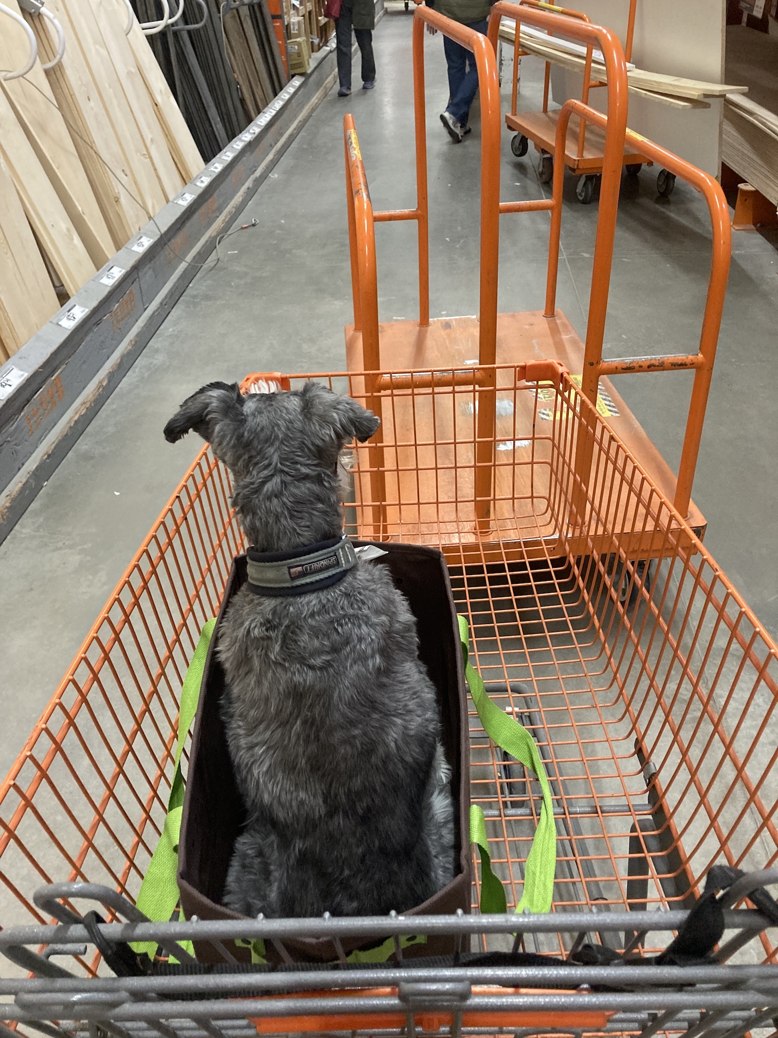 2020-12-19_12-00-12_887