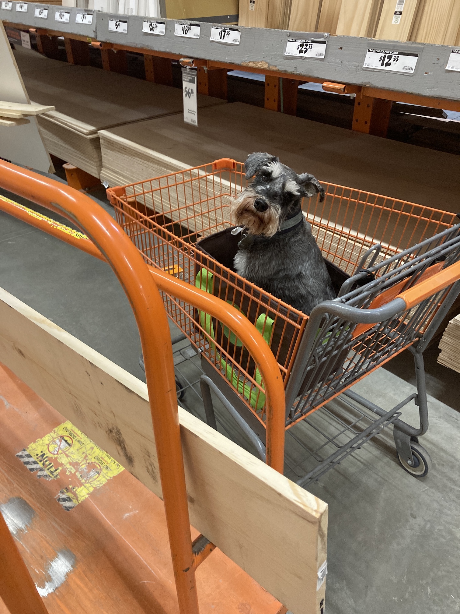 2020-12-19_12-01-07_672