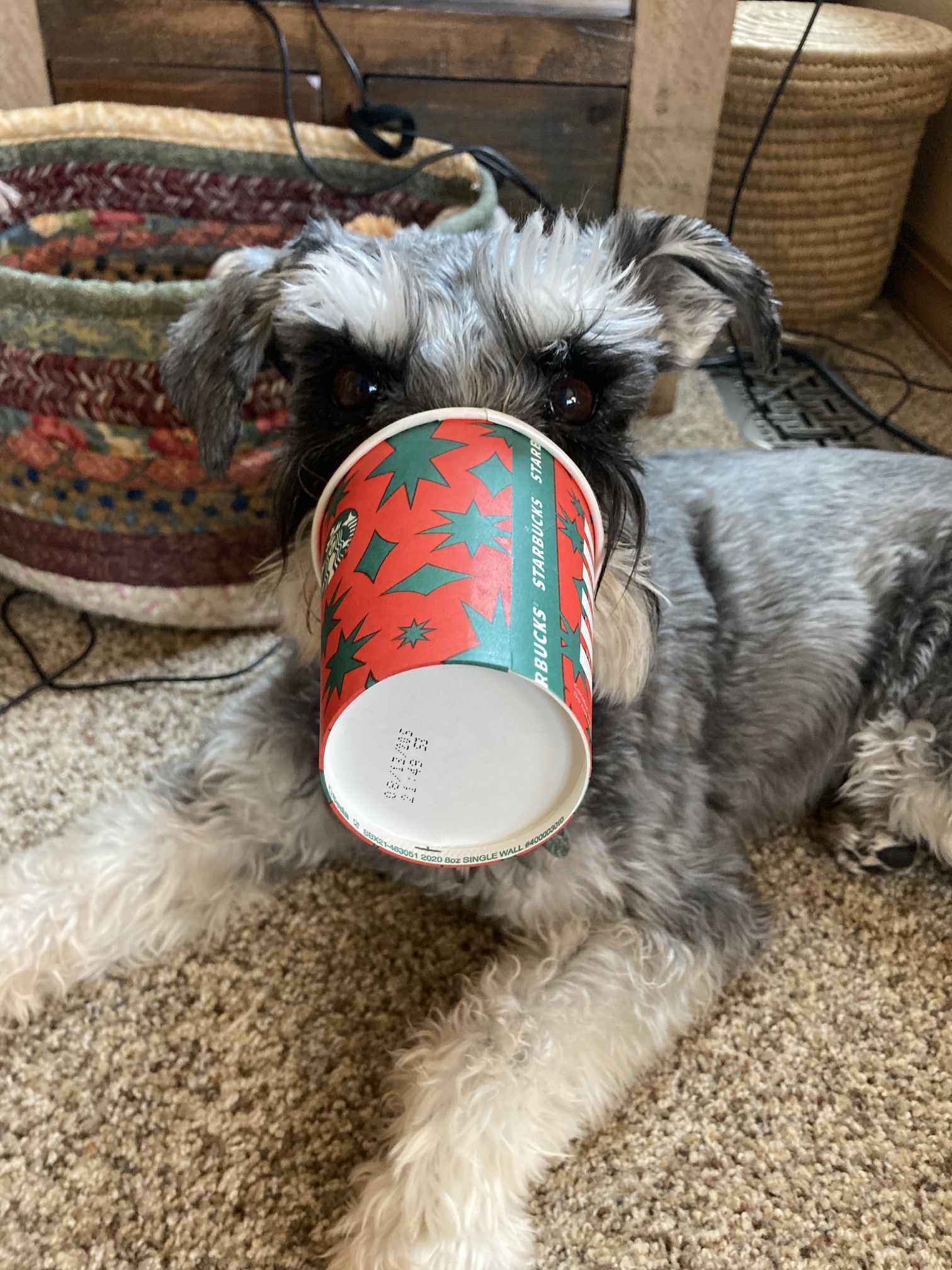 2020-12-20_09-30-02_507