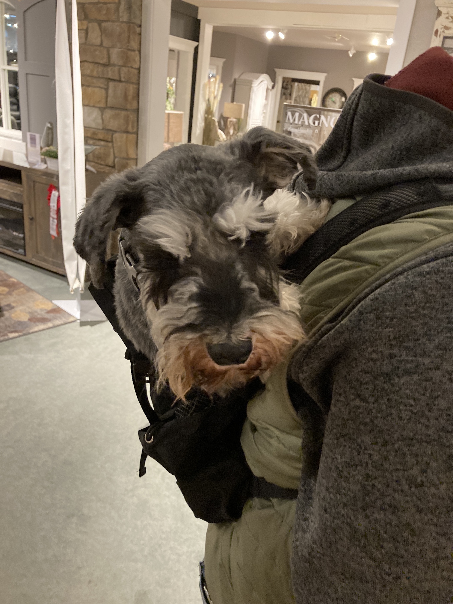 2020-12-20_11-19-06_021