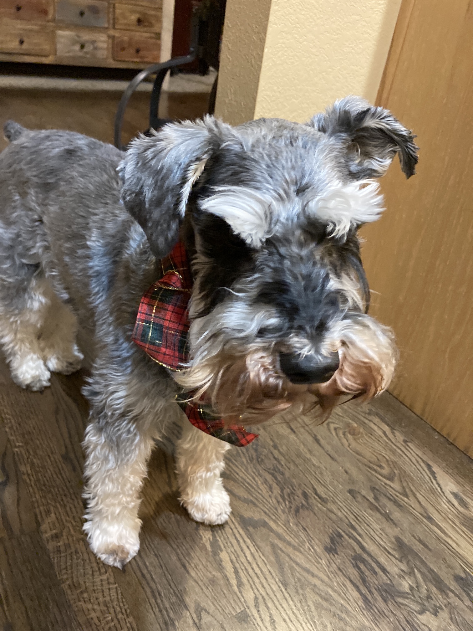 2020-12-24_17-09-44_756