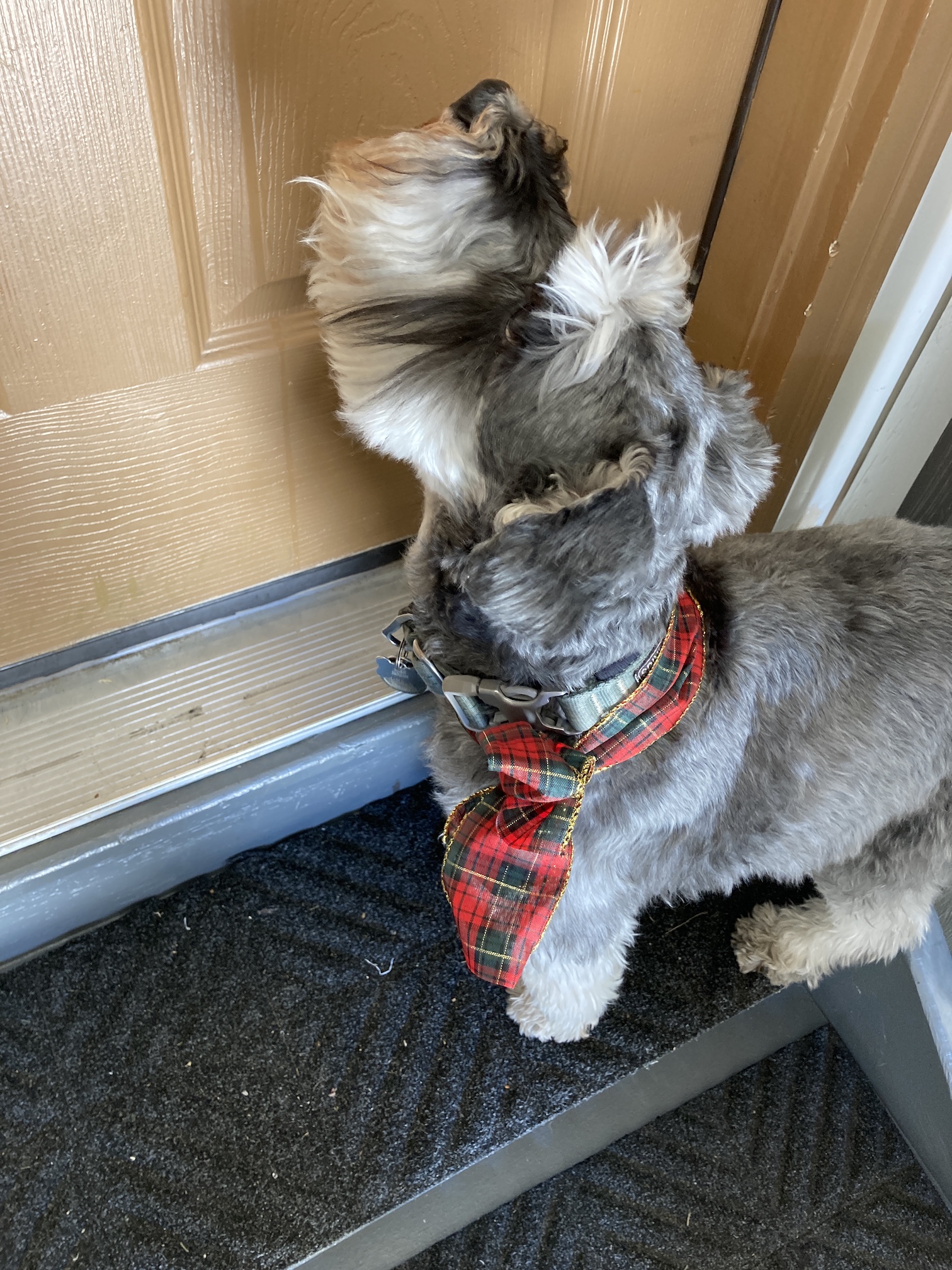 2020-12-25_11-24-53_708