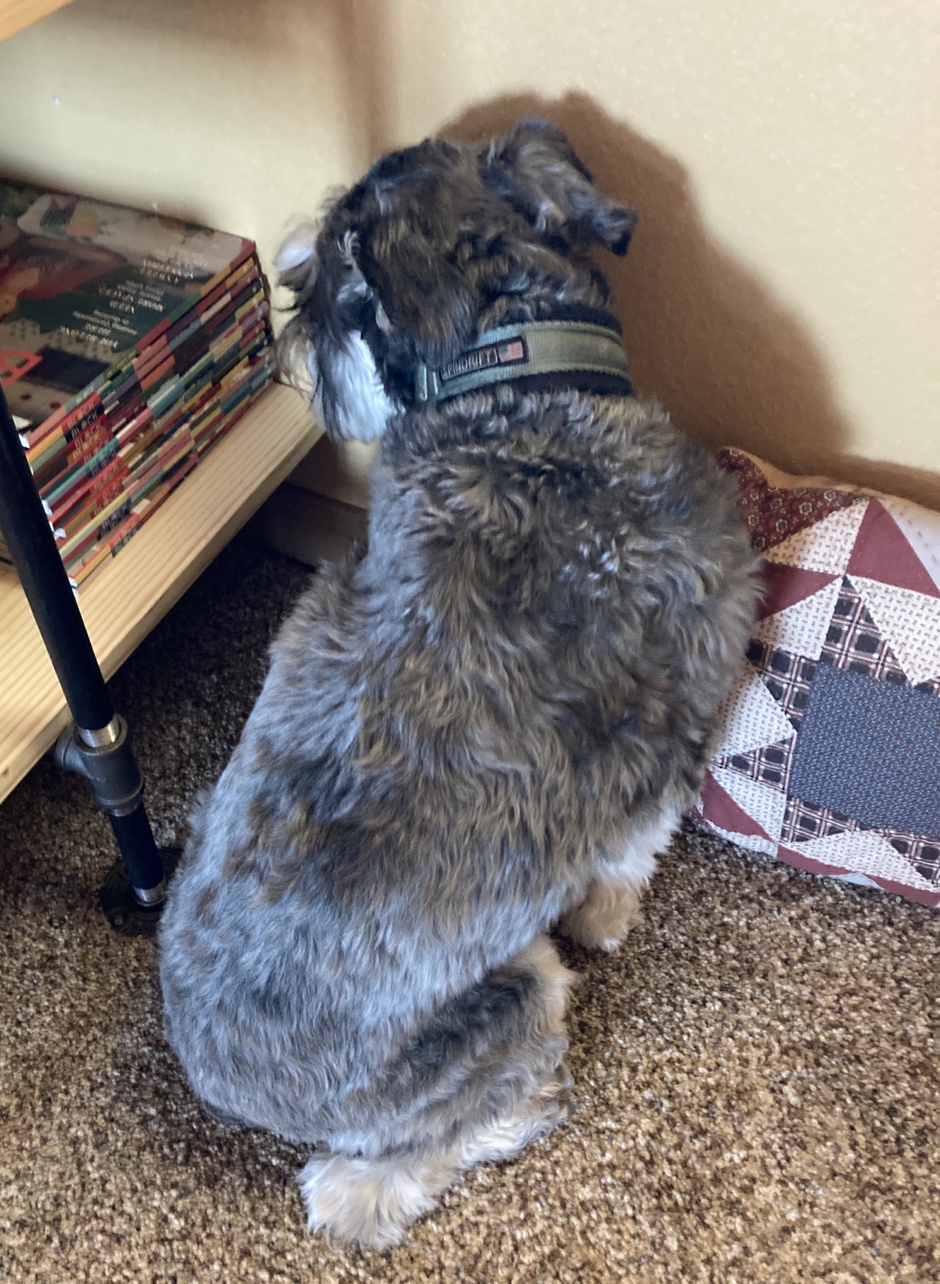 2021-02-27_08-11-28_359