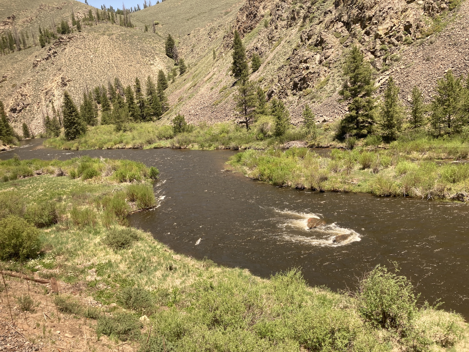 2021-06-11_12-47-44_702