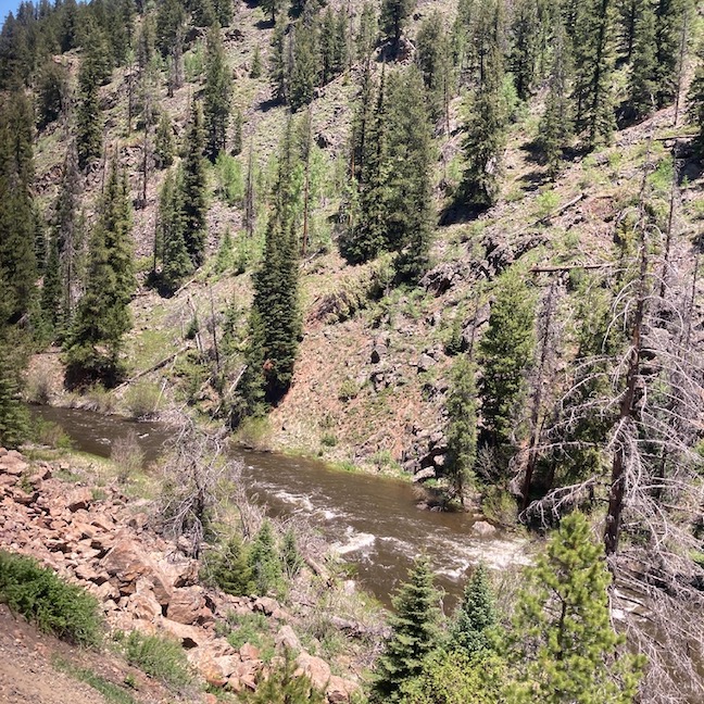 2021-06-12_06-56-42_351